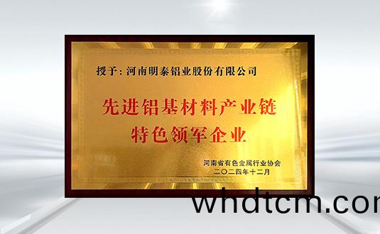 先進(jin)鋁基(ji)材(cai)料(liao)産業(ye)鏈 特(te)色領(ling)軍(jun)企(qi)業(ye)
